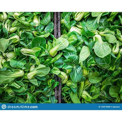 BOK CHOY BEBE / QUEBEC BOK CHOY BEBE / QUEBEC