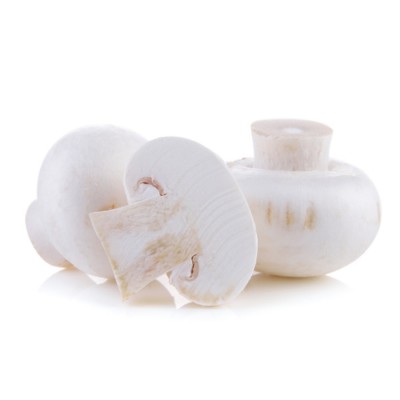 CHAMPIGNON CELLO / ONTARIO