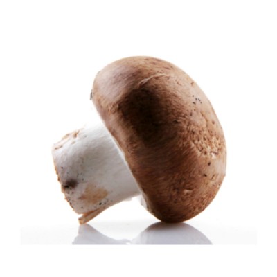 CHAMPIGNON PORTOBELLO MOYENNE TETE / ONTARIO CHAMPIGNON PORTOBELLO MOYENNE TETE / ONTARIO