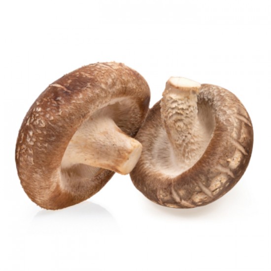 CHAMPIGNON SHIITAKE / ONTARIO