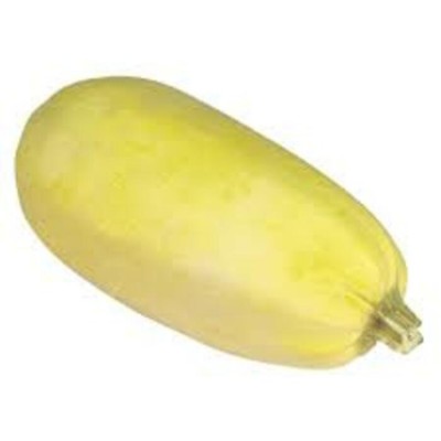 COURGE SPAGHETTI / QUEBEC