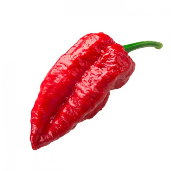 PIMENT FORT GHOST / ESPAGNE 400GR