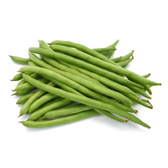 HARICOT VERT / ETATS-UNIS