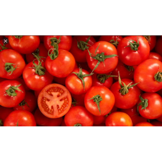 TOMATE 6X7 / FLORIDE 11.34KG
