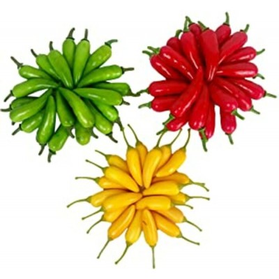 PIMENT COULEUR MINI / ONTARIO