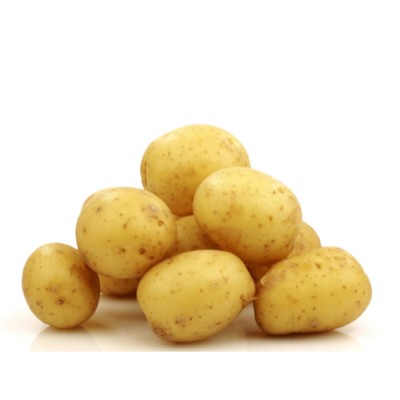 POMME DE TERRE GRELOT BLANCHE CAT B / QUEBEC