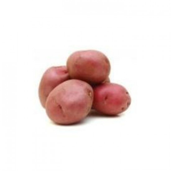 POMME DE TERRE ROUGE TABLE / QUEBEC