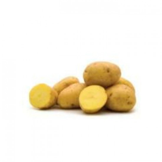 POMME DE TERRE YUKON GOLD CHEF / QUEBEC