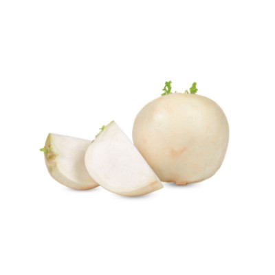RABIOLE BLANCHE / ETATS-UNIS
