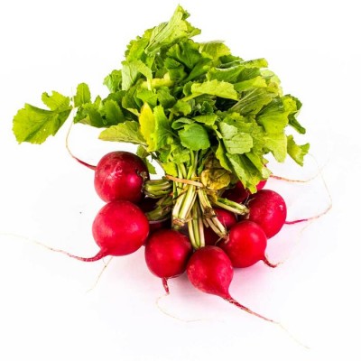 RADIS / FRUIT LEGUME
