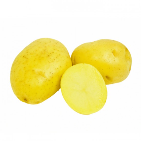 POMME DE TERRE YUKON GOLD TABLE / GARON 22.67KG