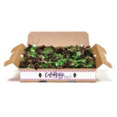 SALADE MELANGE CELEBRITE / ETATS-UNIS