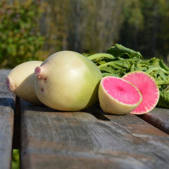 RADIS MELON D'EAU / QUEBEC 2.27KG