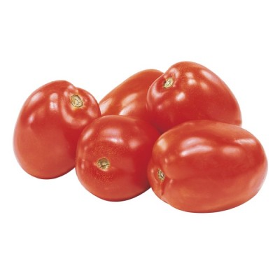TOMATE ITALIENNE / MEXIQUE