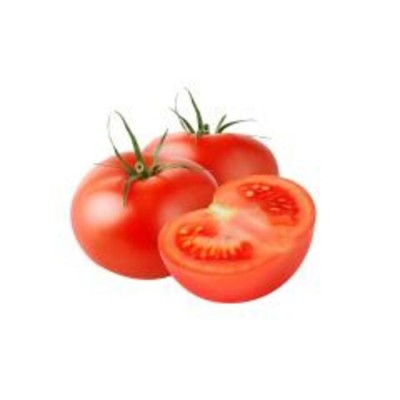 TOMATE ROUGE SERRE #1 GR 35-39 / SAVOURA