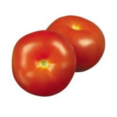 TOMATE ROUGE SERRE #2 / SAVOURA
