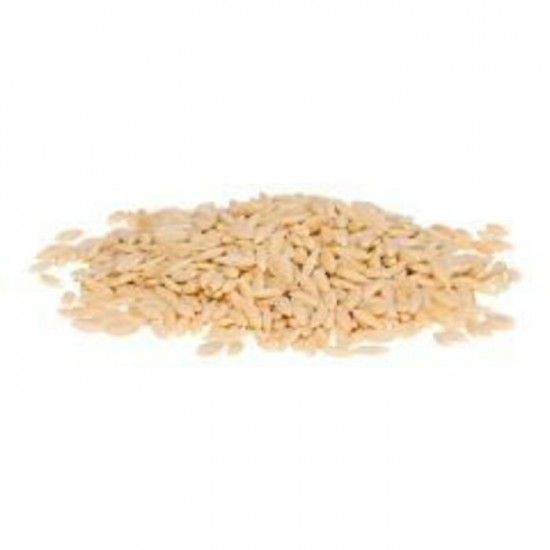 PÂTE ALIMENTAIRE ORZO / GRISSPASTA