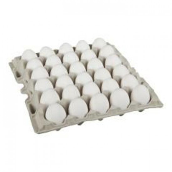 OEUF A GROS VRAC / BURNBRAE