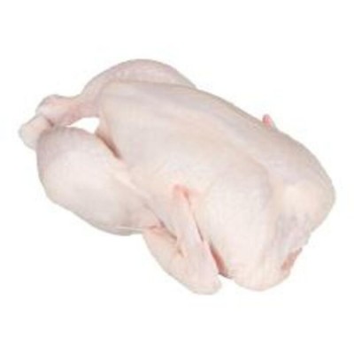 POULET ATTACHE 1.60-1.70KG (1.6KGP.) / FLAMINGO