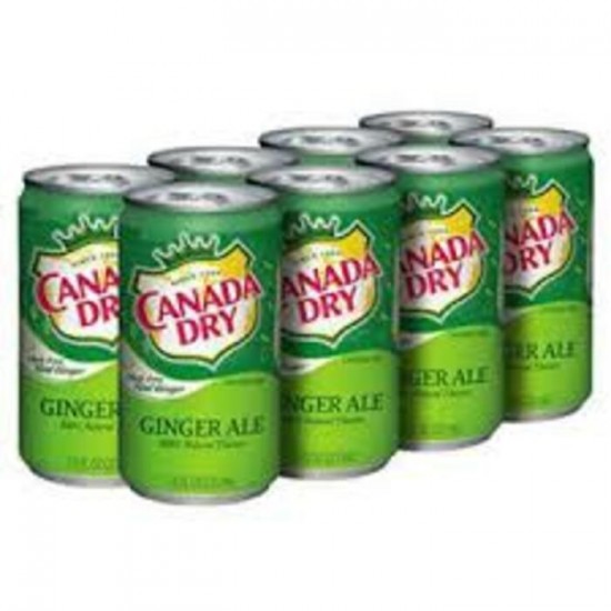 CANADA DRY GINGER ALE CAN 355 ML / COCA COLA