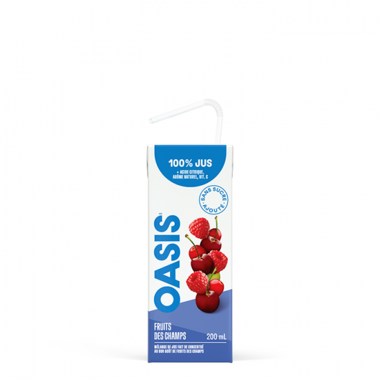 JUS COCKTAIL CANNEBERGE PREMIUM 100% / OCEAN SPRAY