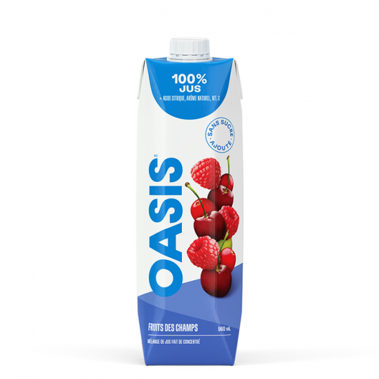 JUS COCKTAIL CANNEBERGE-MELON D'EAU / OCEAN SPRAY