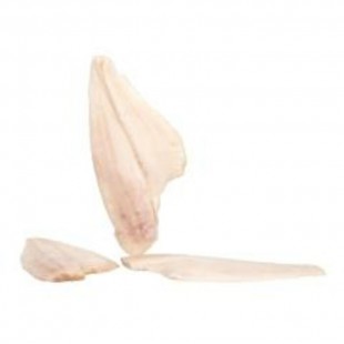 SOLE FILET 4ON IQF (4.54KG) / HIGH LINER