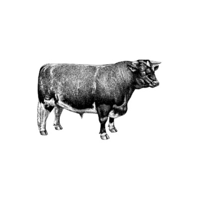 BOEUF LANIERE MAIGRE / MENU