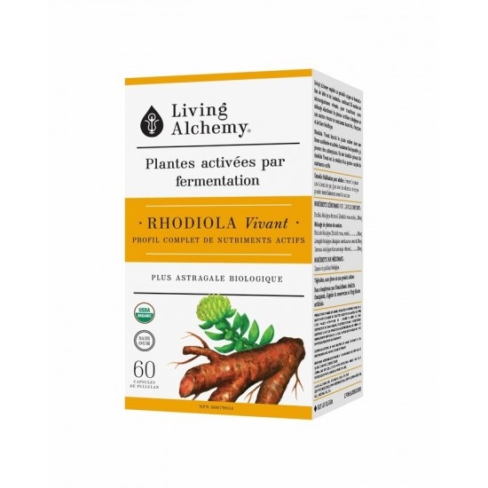 Rhodiola Vivant