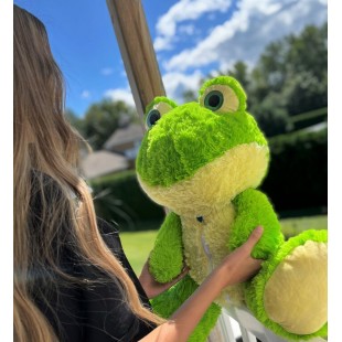 Gribouille la grenouille 