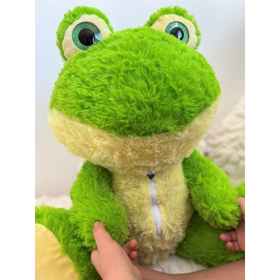 Gribouille la grenouille 
