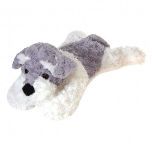 Zoé le Schnauzer