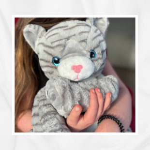 Pixel Câlin
