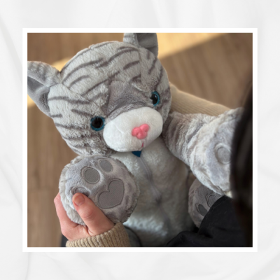 Pixel Câlin