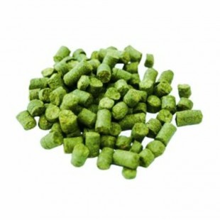 Cluster (USA) - houblon en granules (25 g à 500g)