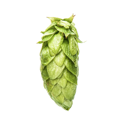 Nectaron (NZ) - houblon en granules (25 g à 500g)