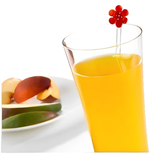 Boissons concentrées protéinées pêche et...