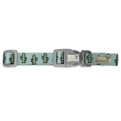 Petite pistache collier Green Cactus pour chien
