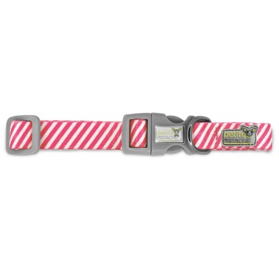 Petite pistache collier Hot Pink Stripes pour...