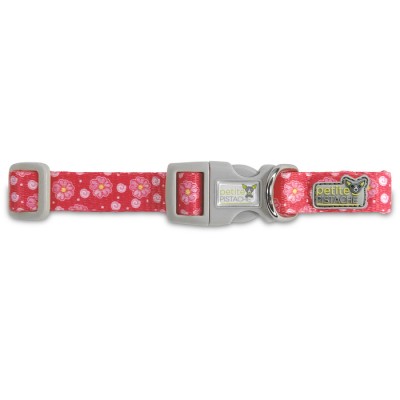 Petite pistache collier Fuschia Flower pour chien