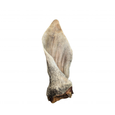 Vrac pour chien Oreille poilu