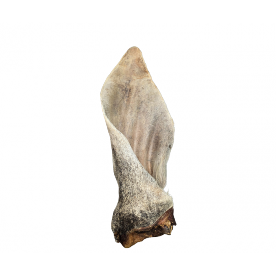 Vrac pour chien Oreille poilu