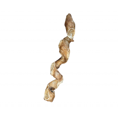 VRAC POUR CHIEN Vessie de boeuf 12 pouces