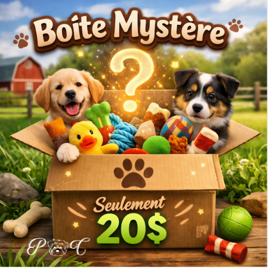 Puppy Country Boîte mystère pour chien