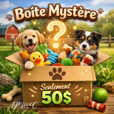 Puppy Country Boîte mystère pour chien