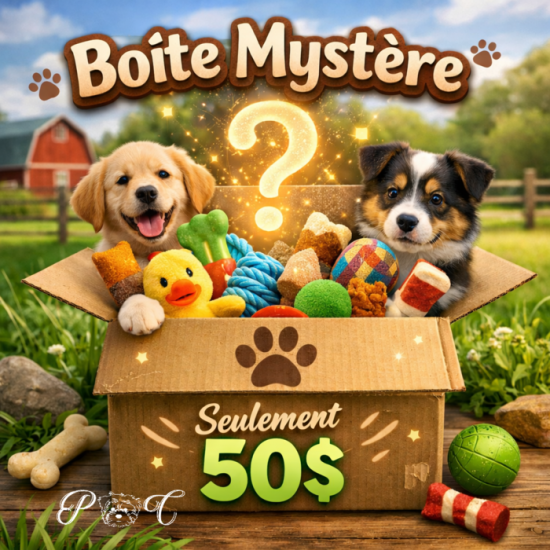 Puppy Country Boîte mystère pour chien