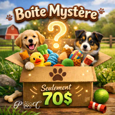 Puppy Country Boîte mystère pour chien