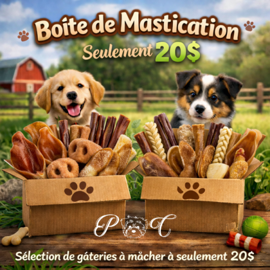 Puppy Country Boîte de mastication naturelle pour...