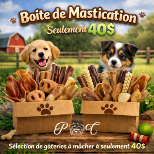 Puppy Country Boîte de mastication naturelle pour...