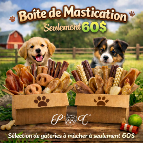 Puppy Country Boîte de mastication naturelle pour...
